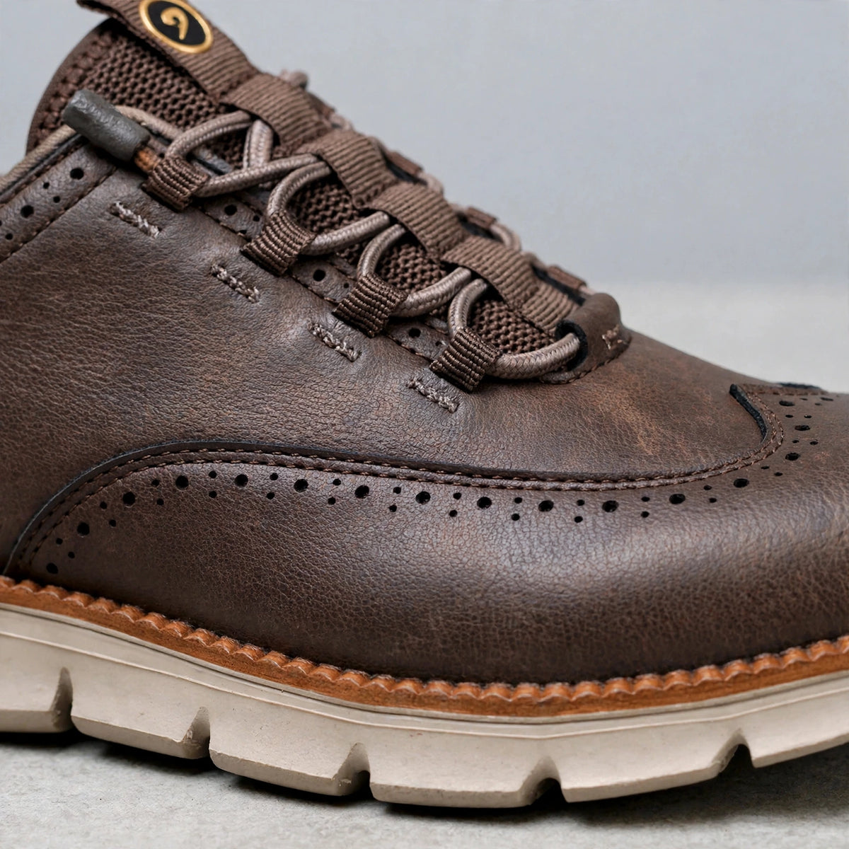 Aldermoor Leather Shoes