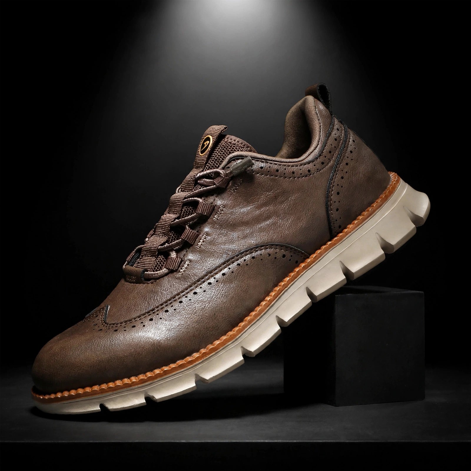 Aldermoor Leather Shoes