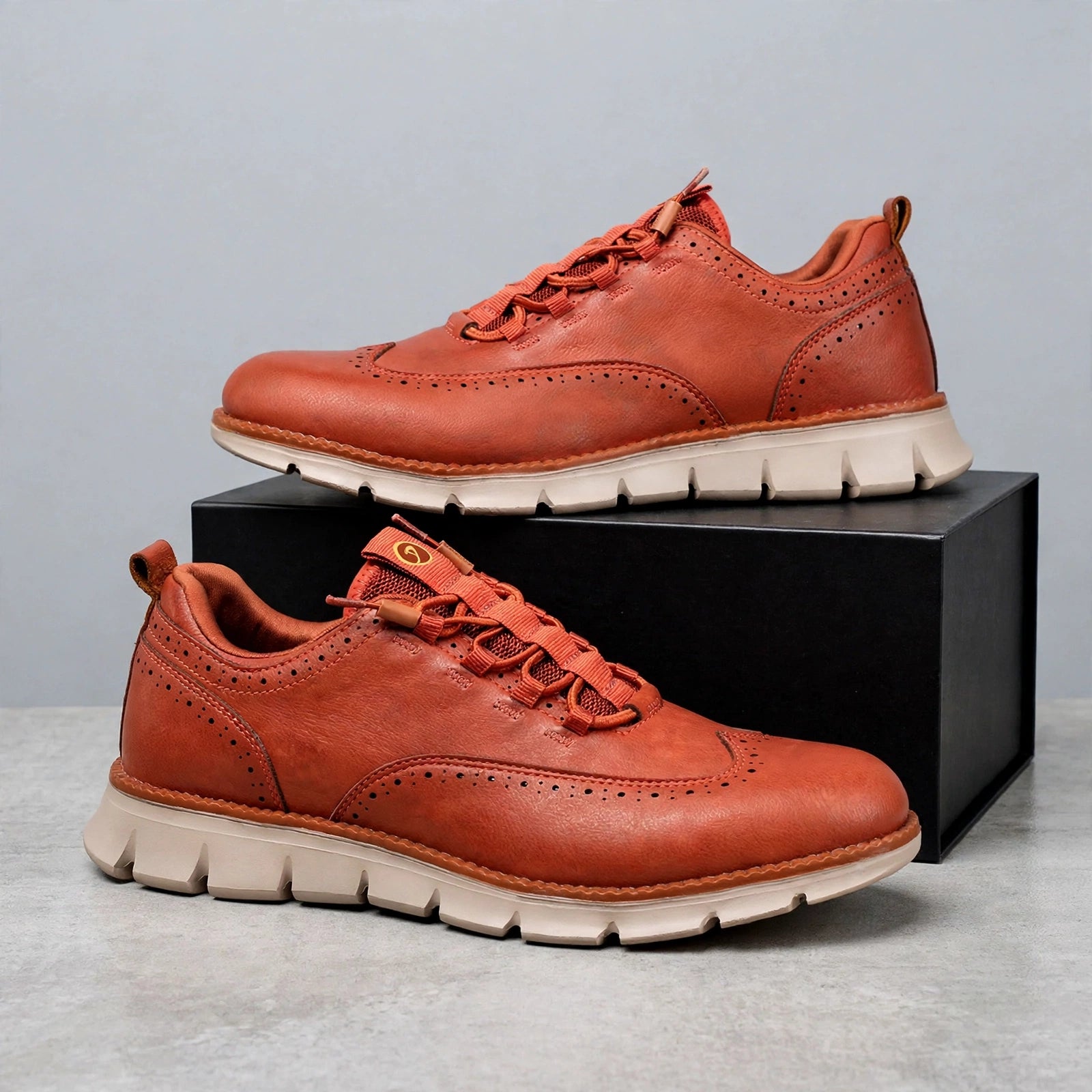 Aldermoor Leather Shoes