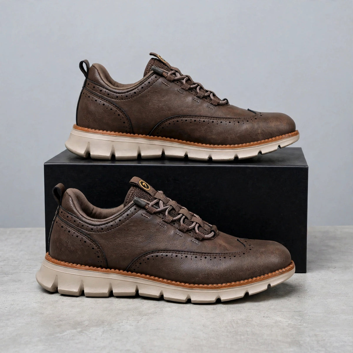 Aldermoor Leather Shoes